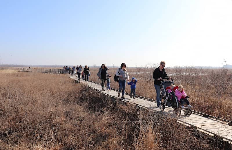 Baker University Wetlands Discovery Center - Image 2