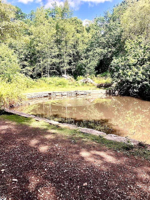 Duck Pond - Image 2