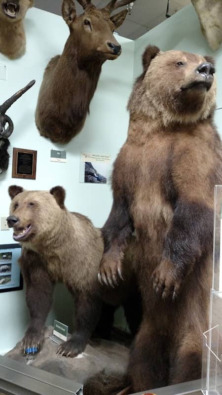 El Campo Museum of Natural History - Image 1