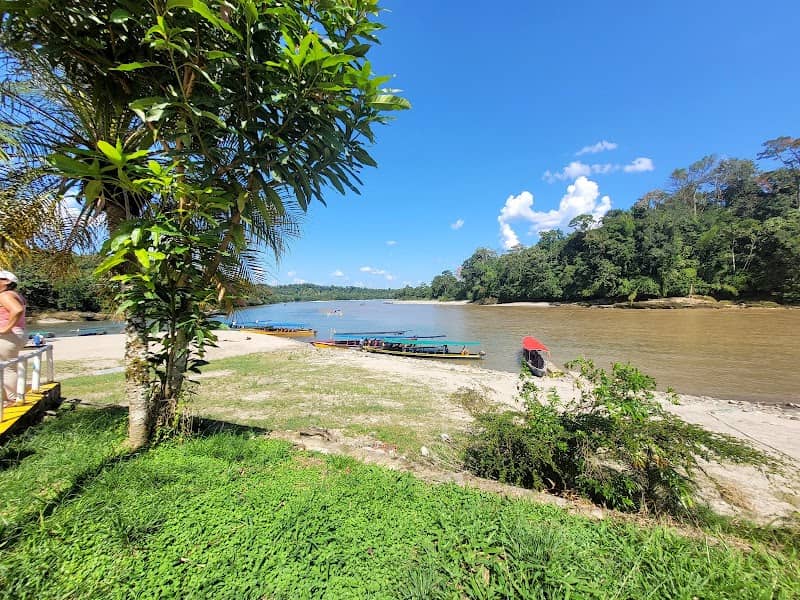 Río Napo (Amazonía - Ecuador) - Image 2