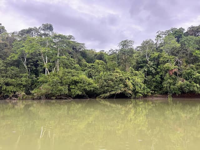 Río Napo (Amazonía - Ecuador) - Image 3