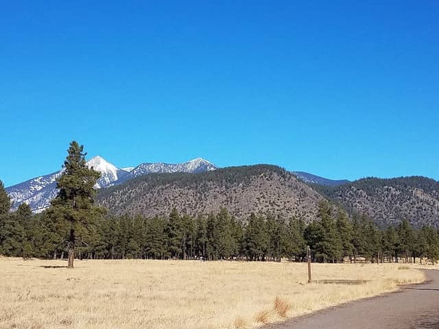 Buffalo Park - Image 3