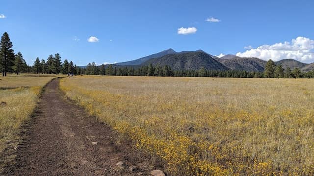 Buffalo Park - Image 1