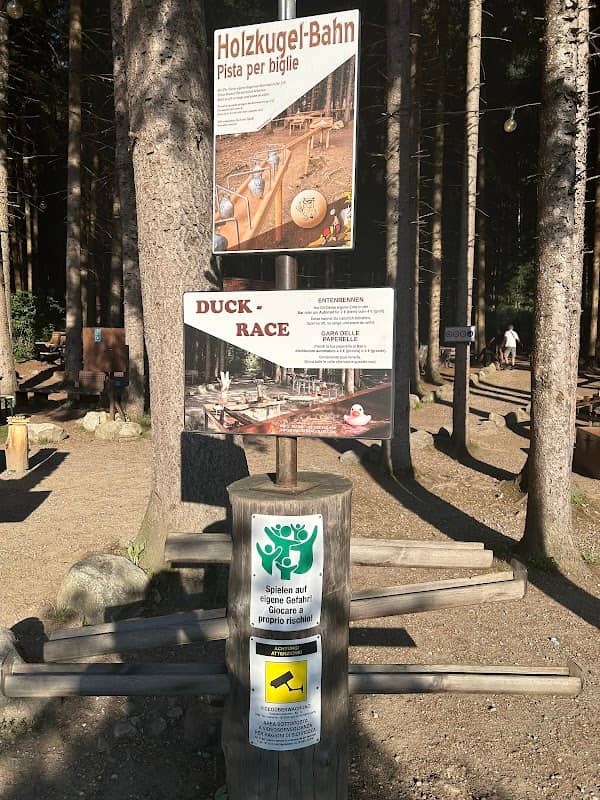 Holzkugel-Bahn - Image 2