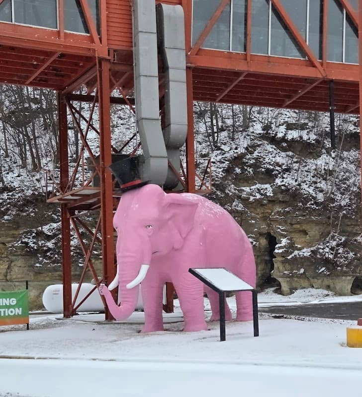 Marquette’s Pink elephant - Image 1