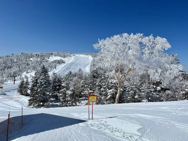 Okushiga Kogen Ski Resort - Image 3