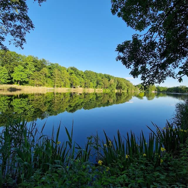 Cappenberger See - Image 1