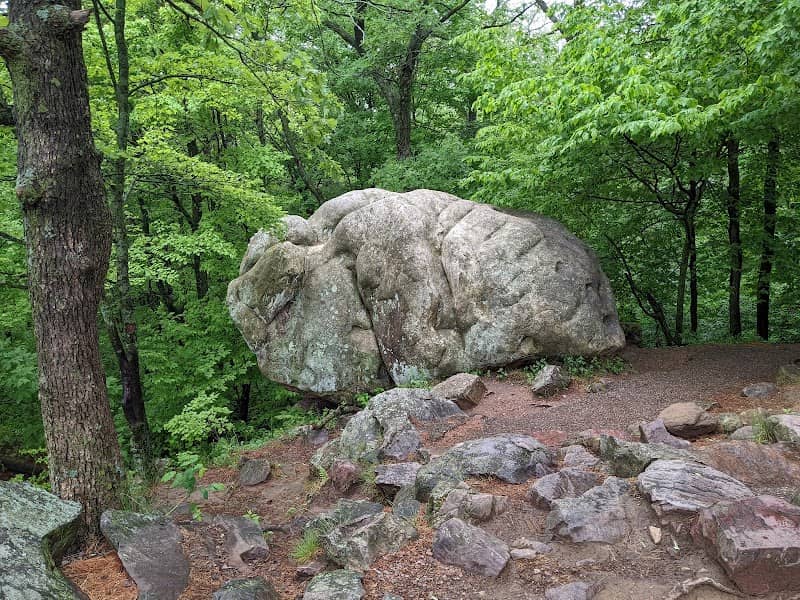Bison Rock - Image 1