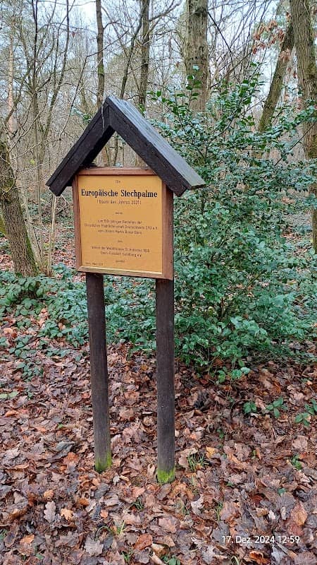 Waldlehrpfad Hardtberg - Image 2