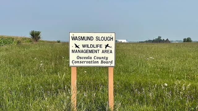 Wasmund Slough Wildlife Management Area - Image 2