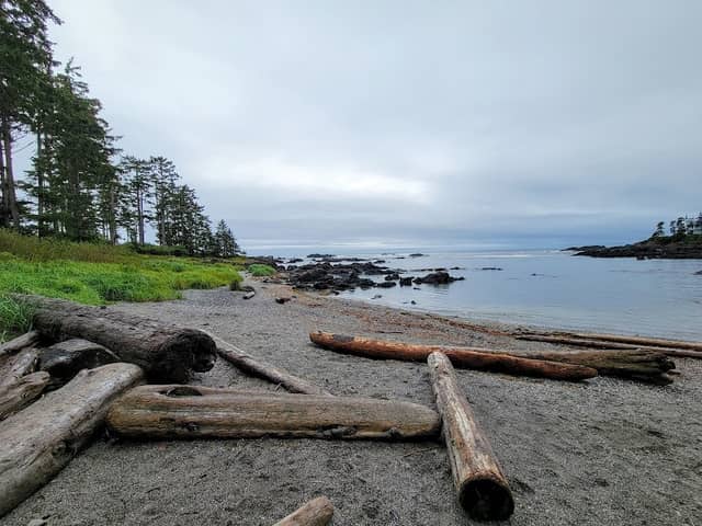 Big Beach Picnic Park - Image 2