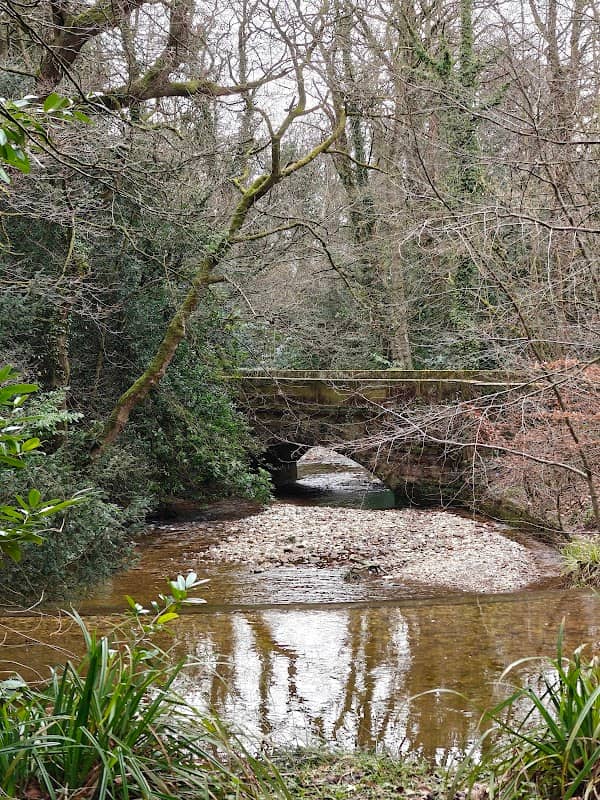 Nant Mill Waterfall - Image 2