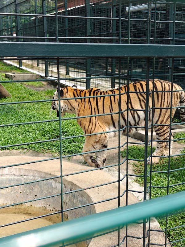 Parc Animalier de Libreville (OYO) - Image 1