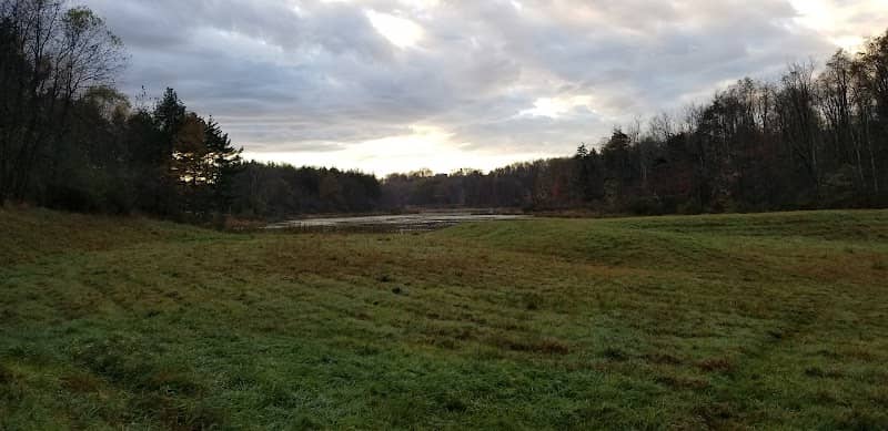 Upper Deckers Creek Wildlife Management Area - Image 1