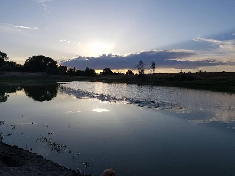 Claytonia Pond Wildlife Habitat Area - Image 2
