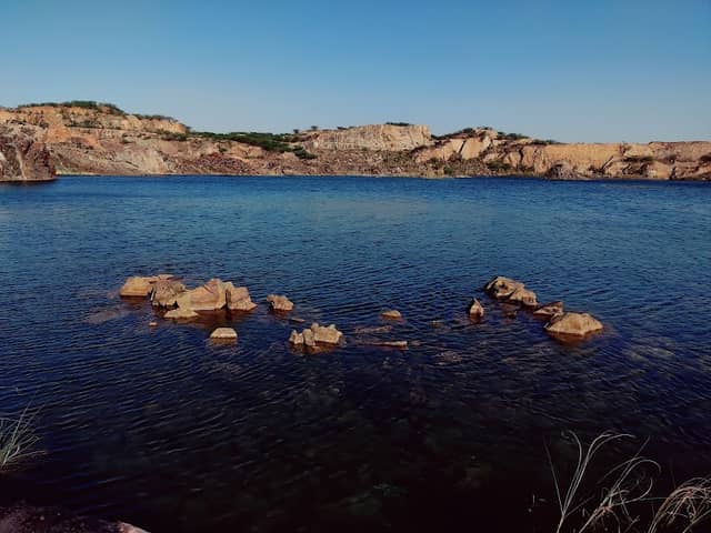 Pani kot - Image 1