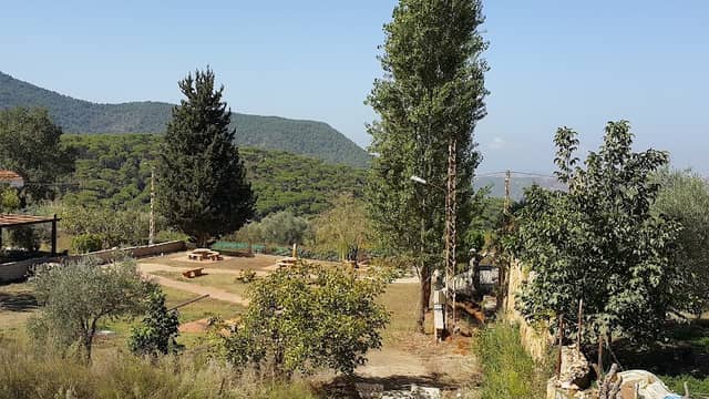 Bteddine Park - Image 1