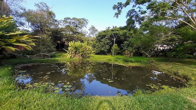 Zona Verde - Image 1