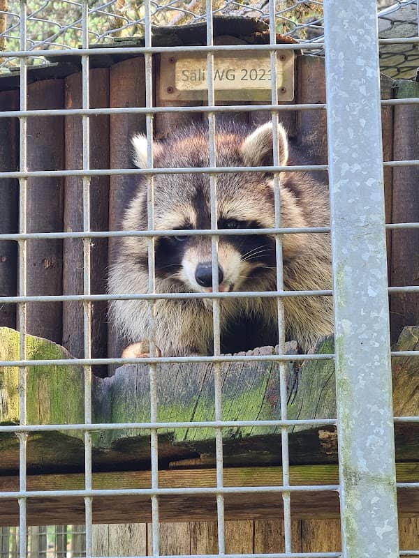 Wildpark Mühletäli - Image 1
