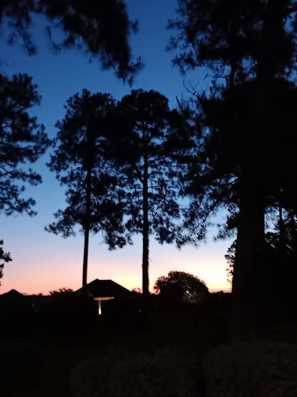 Wild Wing Resort - Image 1