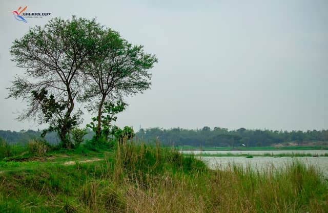 Island - Image 1
