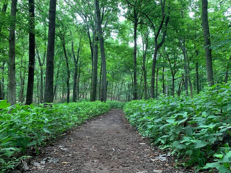 Radnor Lake State Park - East Parking Lot - Image 1