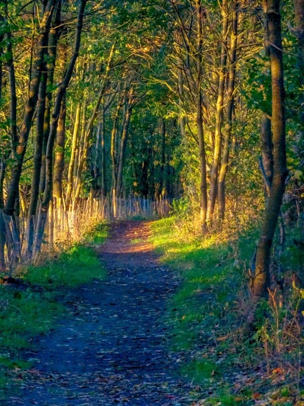 Alkborough Trail - Image 2