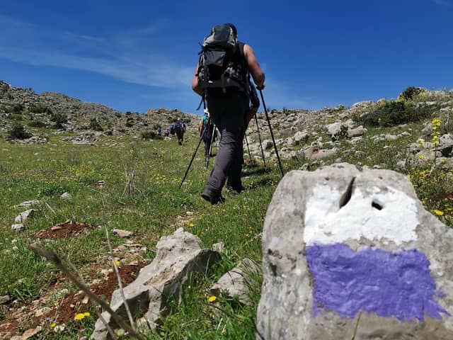 Lebanon Mountain Trail Association - Image 2