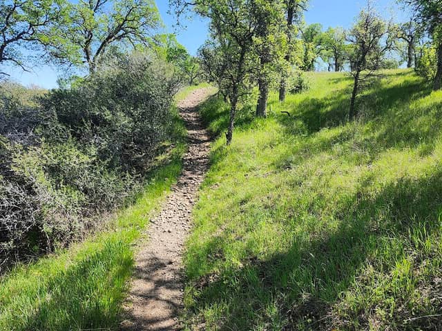 Perry Riffle Trailhead - Image 1