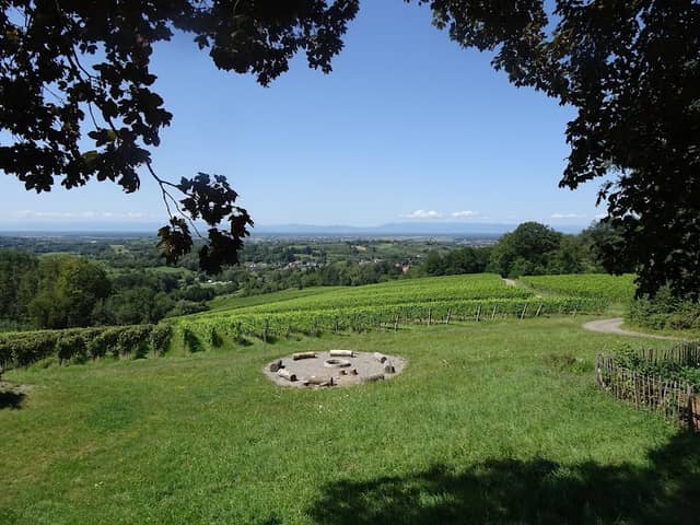 Waldhütte Vogesenblick - Image 1