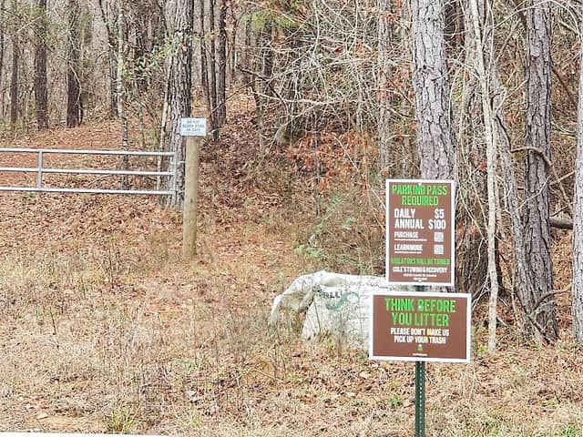 Standing Boy Hiking Parking - Image 1