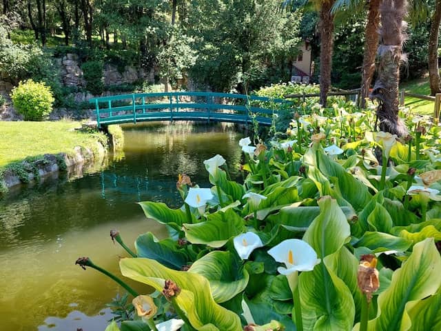 Lago dei Cigni - Image 2