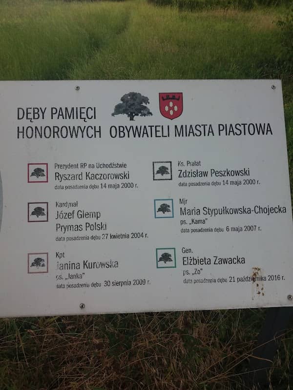 Dęby Pamięci w Piastowie - Image 2
