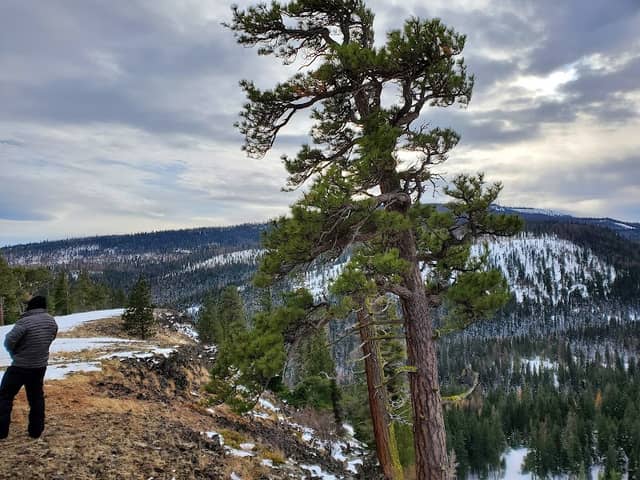 Naches Ranger Station - Image 1