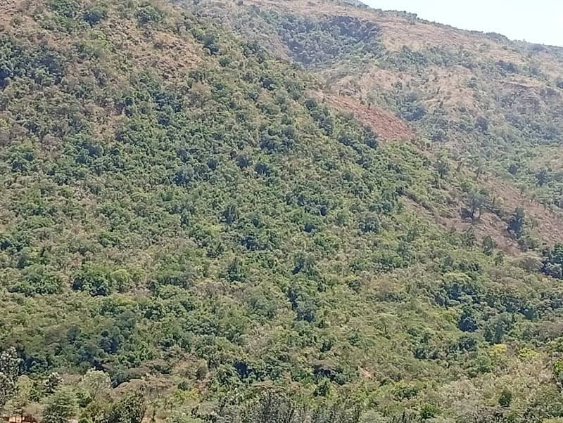 Kubeloi - Image 3