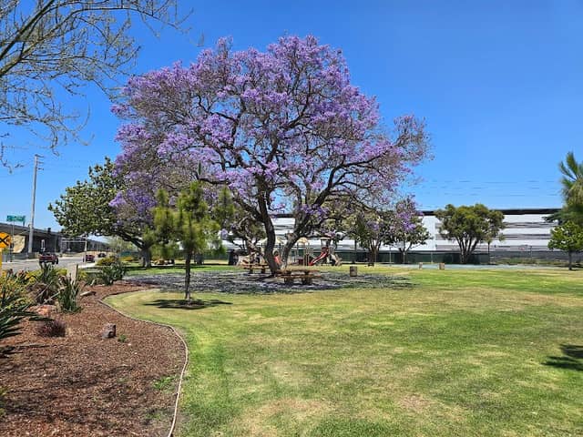 Robert White Park + Dog Park - Image 2