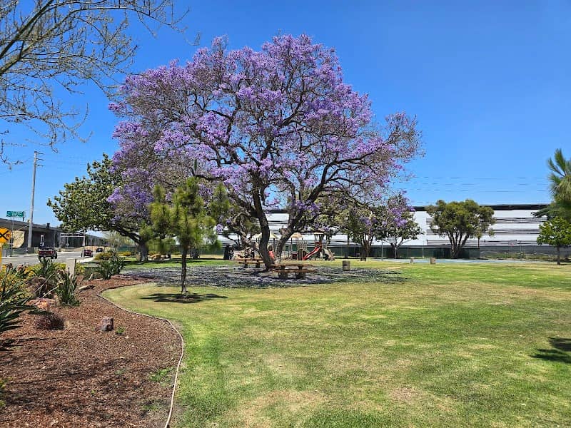 Robert White Park + Dog Park - Image 2