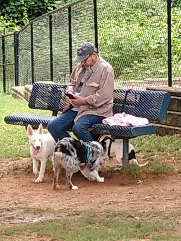 Smyrna Dog Park - Image 1