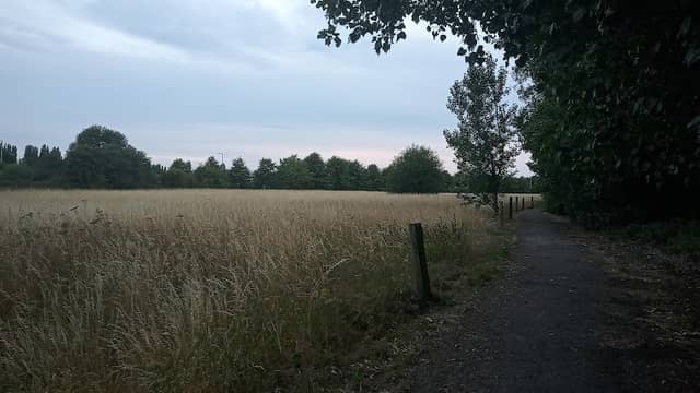 Prologis Country Park Footpath - Image 2