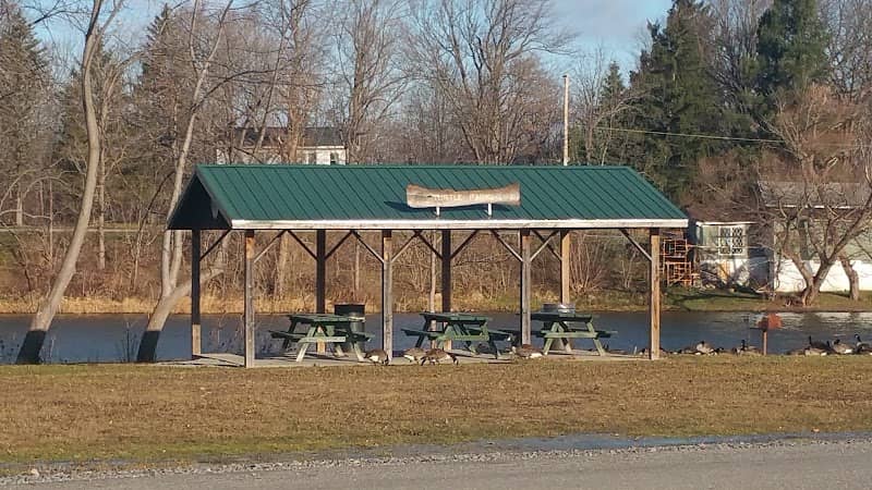 Turtle Park - Image 1
