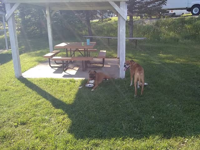 Nemacolin Park - Image 2