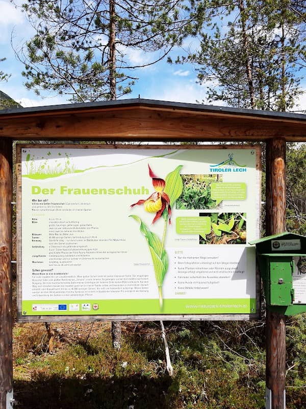 Frauenschuhgebiet Martinauer Au - Image 1
