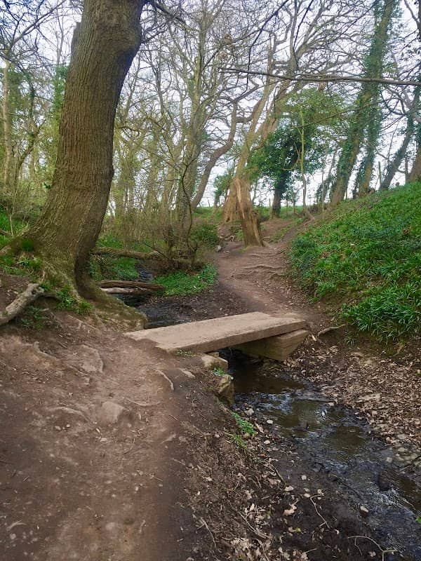 Oldfield to Wirral Way - Image 1