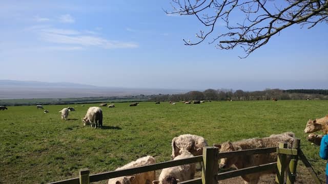 Oldfield to Wirral Way - Image 3