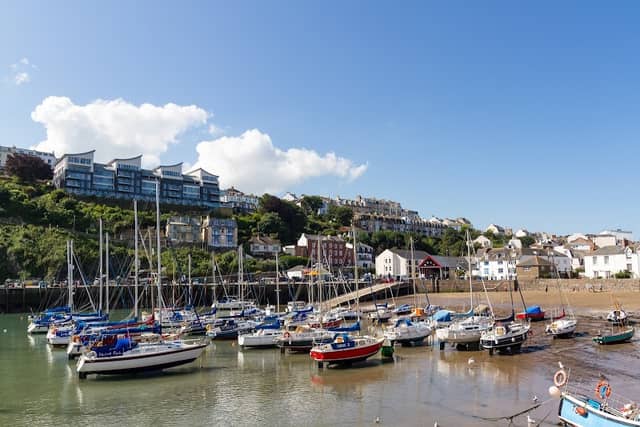 Ilfracombe Harbour - Image 3