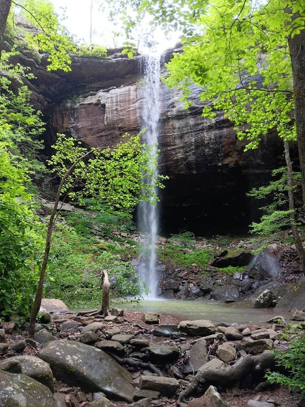 Sweden Creek Falls Trailhead - Image 1