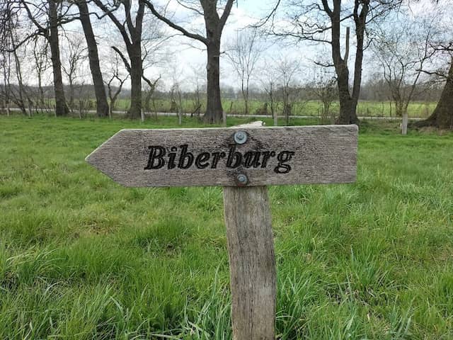 Biberlehrpfad - Image 2