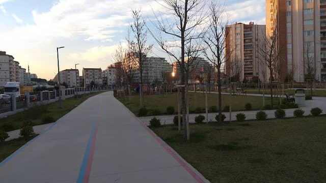 park - Image 2