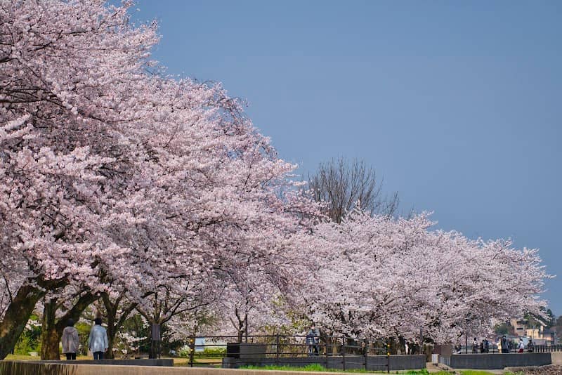 Saigawa Ryokuchi Park - Image 1