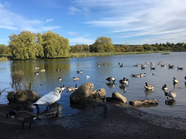 Shibdon Pond Local Nature Reserve - Image 1